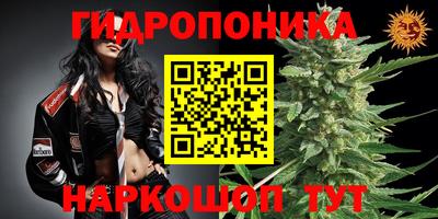 марки lsd Обь