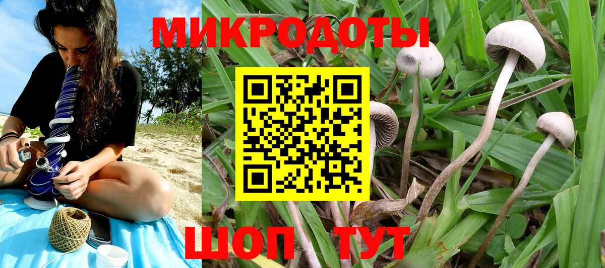 Галлюциногенные грибы Psilocybine cubensis Светлоград